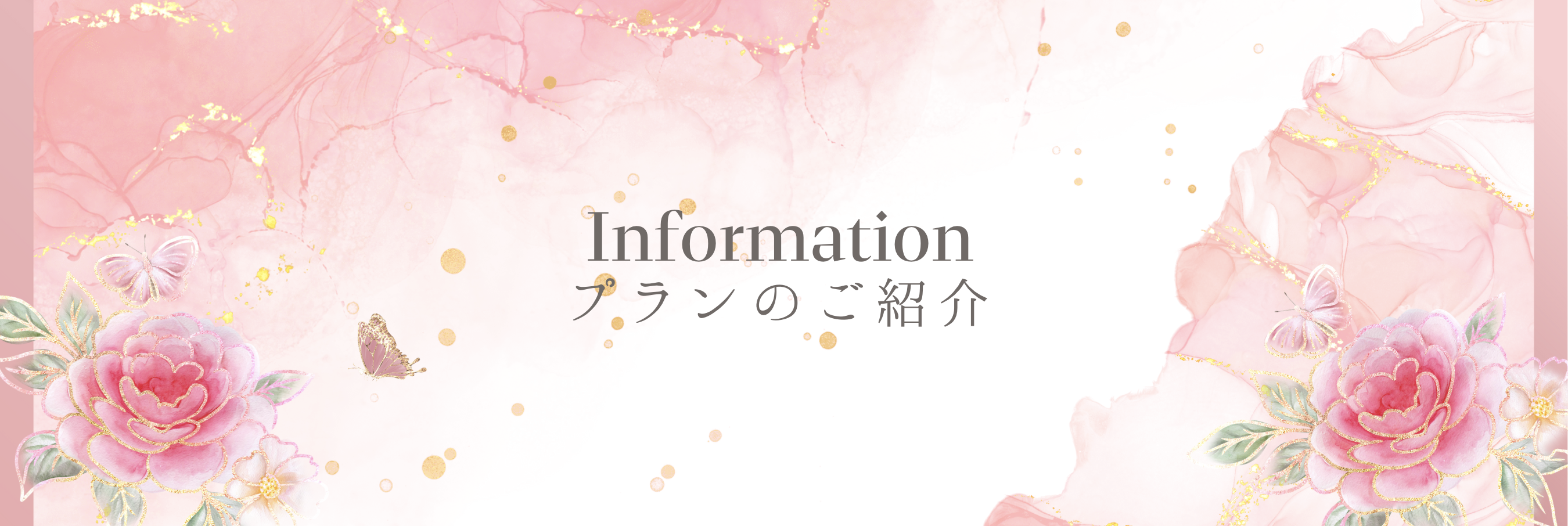 プランのご紹介